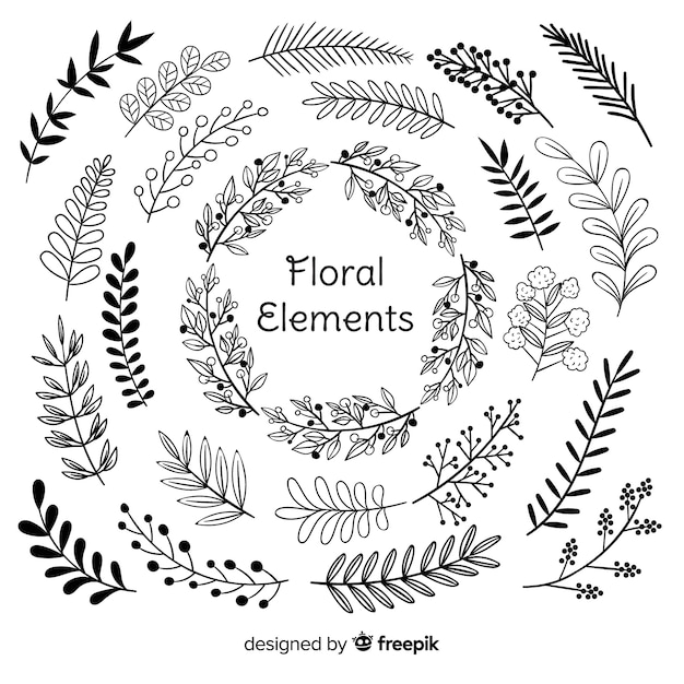 Hand draw floral decoration elements