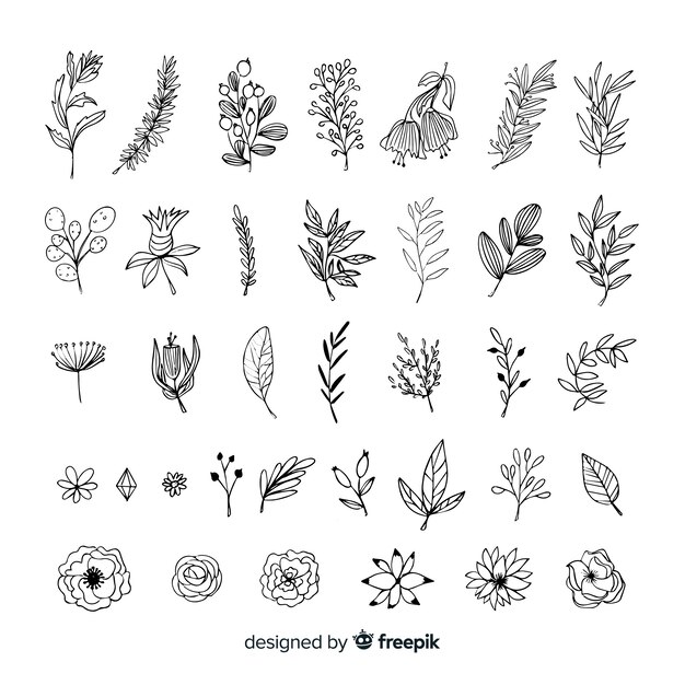 Hand draw floral decoration elements