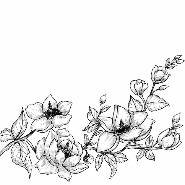 Hand drawing and sketch decorative floral 