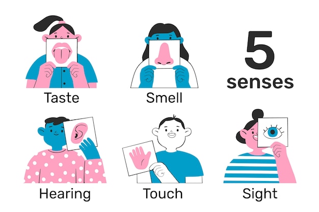 Free Vector hand drawn 5 senses illustration