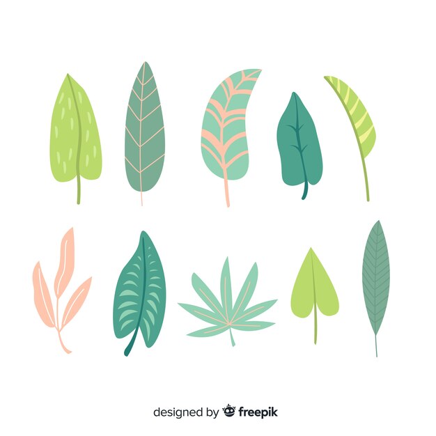 Hand drawn abstract leaves collection