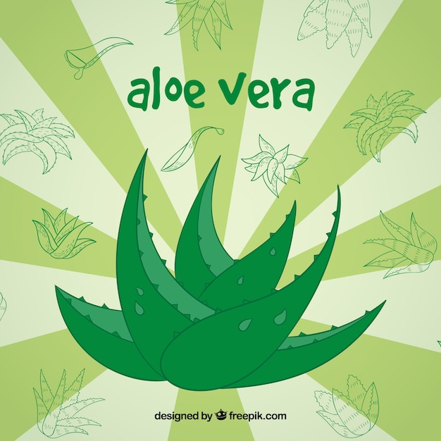 Hand drawn aloe vera background