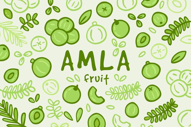 Hand drawn amla fruit background