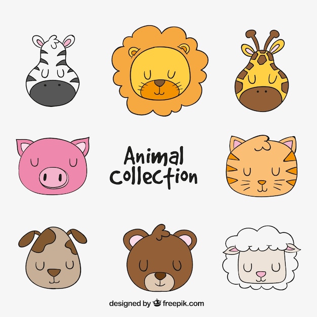 Hand-drawn animal collection