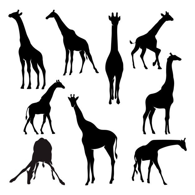 Hand drawn animal silhouette