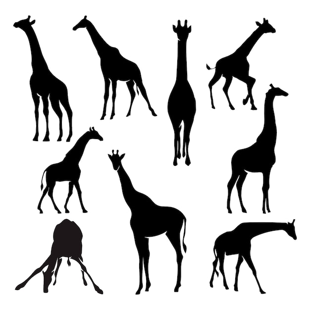 Hand drawn animal silhouette