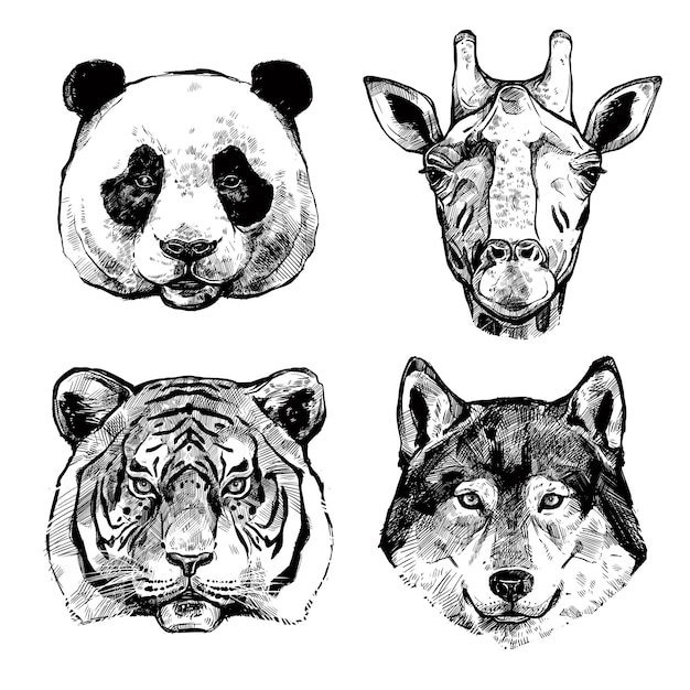 Free Vector hand drawn animals portraits