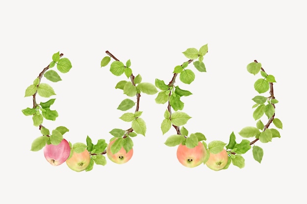 hand drawn apple fruit wreath background design