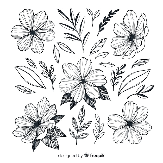 Hand drawn artistic flowers collection