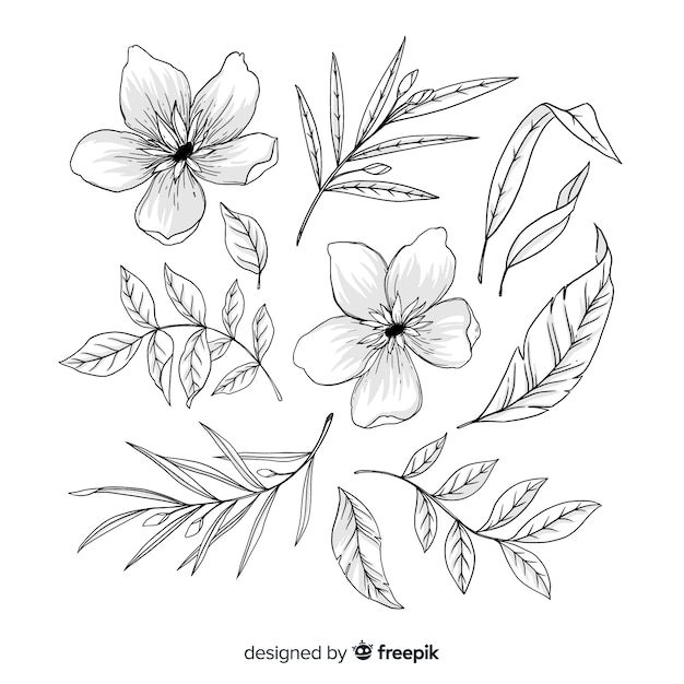 Hand drawn artistic flowers and leaves collection