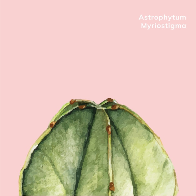 Free Vector hand drawn astrophytum myriostigma 