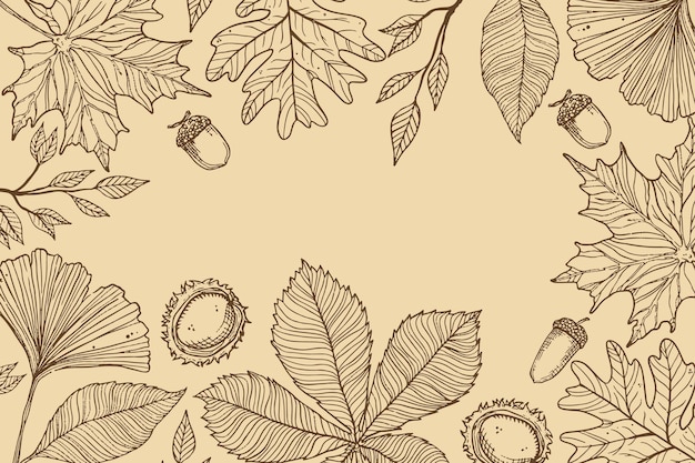 Hand drawn autumn background