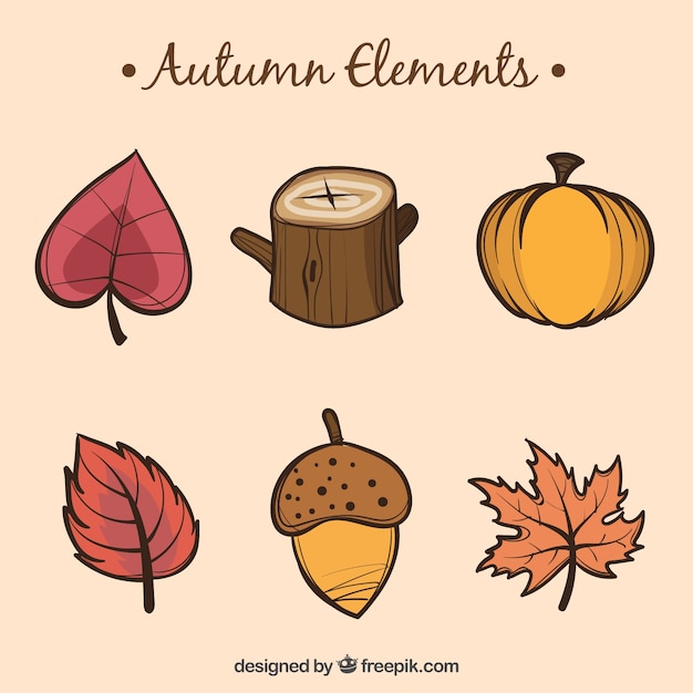 Hand drawn autumn elements collection