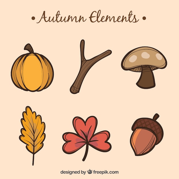 Hand drawn autumn elements