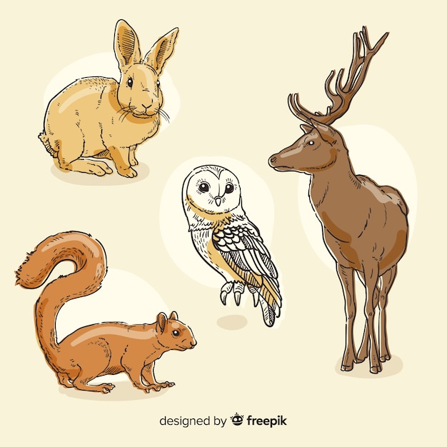 Free Vector hand drawn autumn forest animal collection