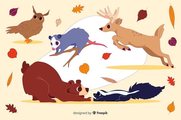 Hand drawn autumn forest animal collection