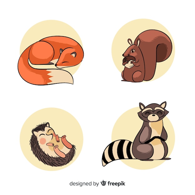 Free Vector hand drawn autumn forest animal collection