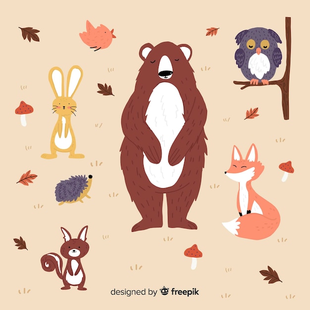 Hand drawn autumn forest animal collection