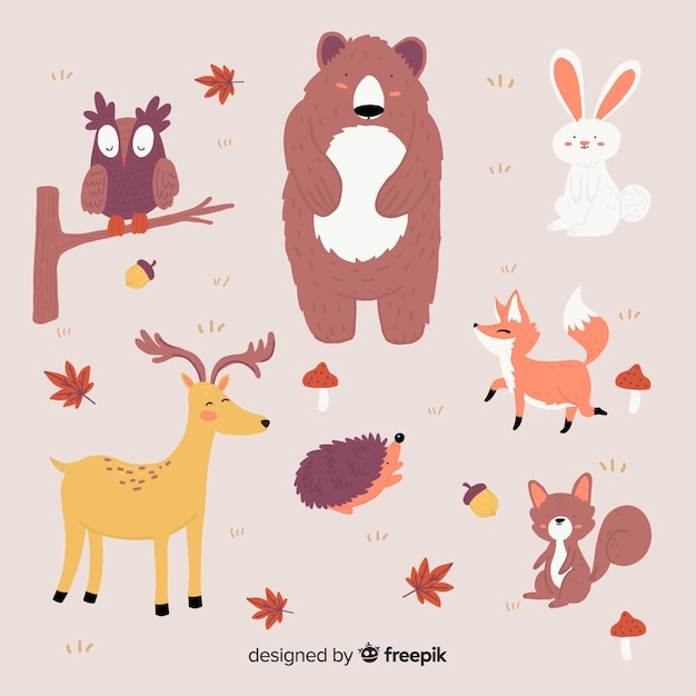 Hand drawn autumn forest animal collection