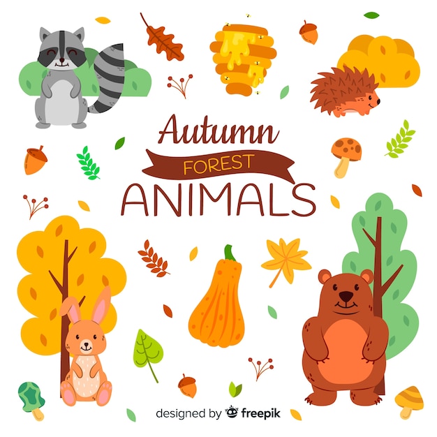 Hand drawn autumn forest animals collection