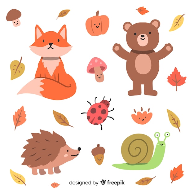 Hand drawn autumn forest animals collection