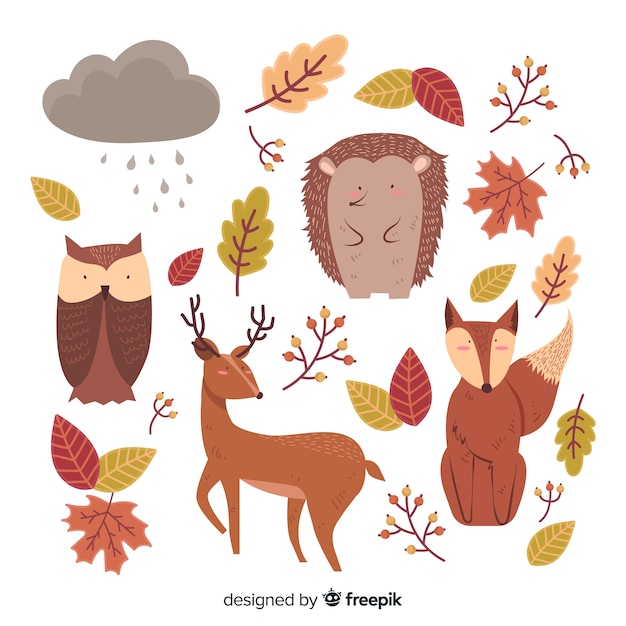 Free Vector hand drawn autumn forest animals collection