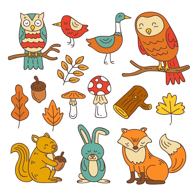 Hand drawn autumn forest animals collection