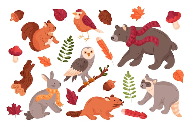 Hand drawn autumn forest animals collection