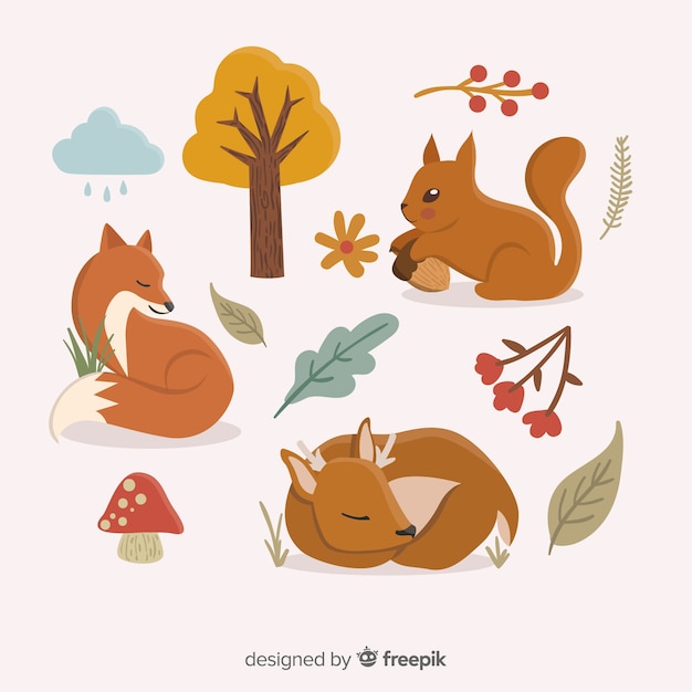 Free Vector hand drawn autumn forest animals