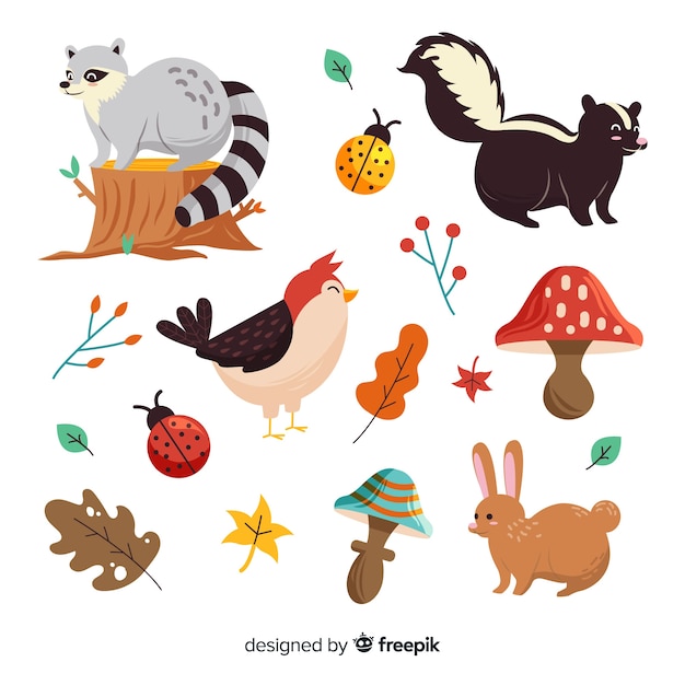 Hand drawn autumn forest animals