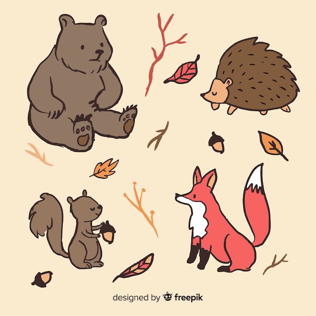 Hand drawn autumn forest animals