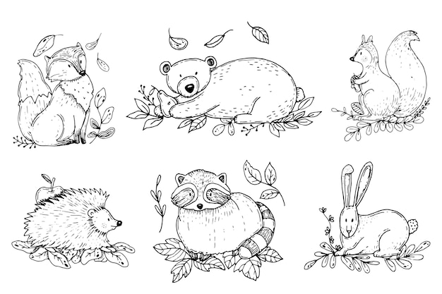 Free Vector hand drawn autumn forest animals