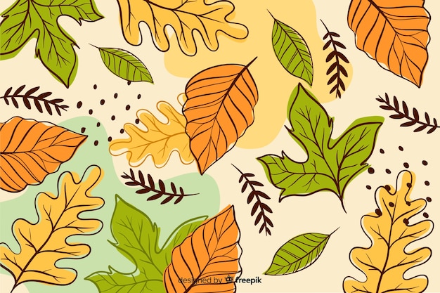 Hand drawn autumn forest leaves background