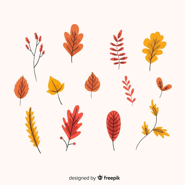 Hand drawn autumn forest leaves collection