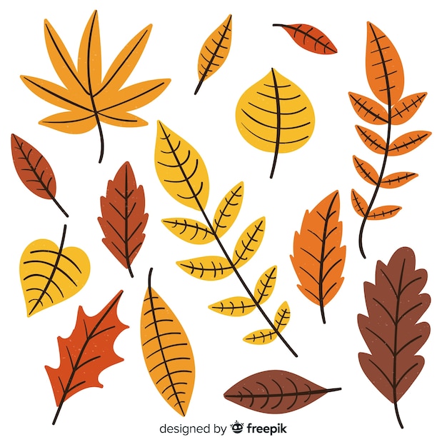 Hand drawn autumn forest leaves collection