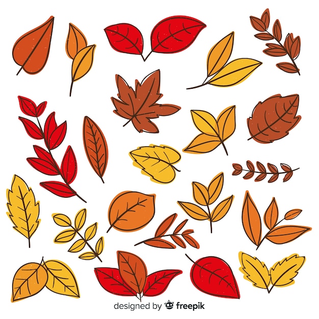 Hand drawn autumn forest leaves collection