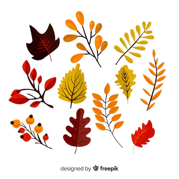 Hand drawn autumn forest leaves collection