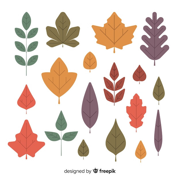 Hand drawn autumn forest leaves collection