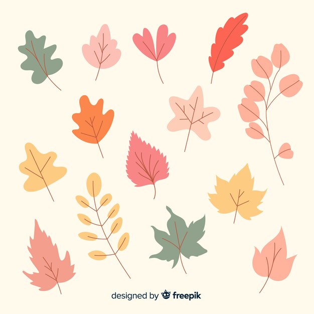 Hand drawn autumn forest leaves collection