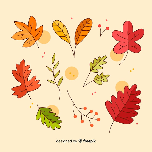 Hand drawn autumn forest leaves collection