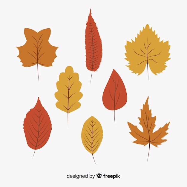 Free vector hand drawn autumn forest leaves collection