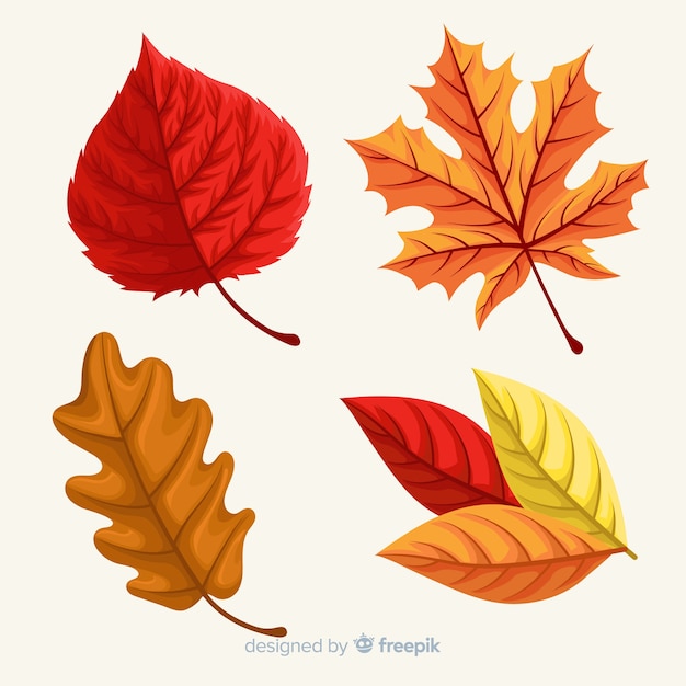 Hand drawn autumn forest leaves collection