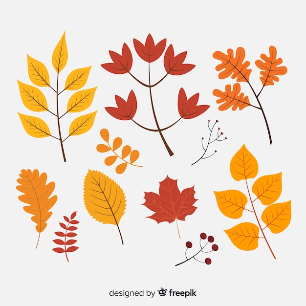 Hand drawn autumn forest leaves collection