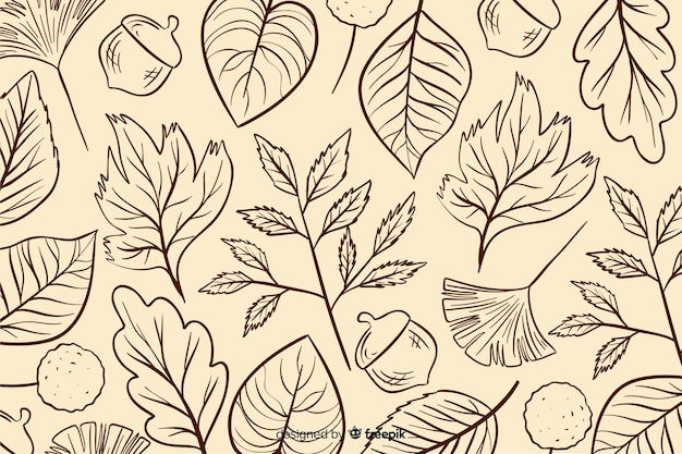 Hand drawn autumn leaves background