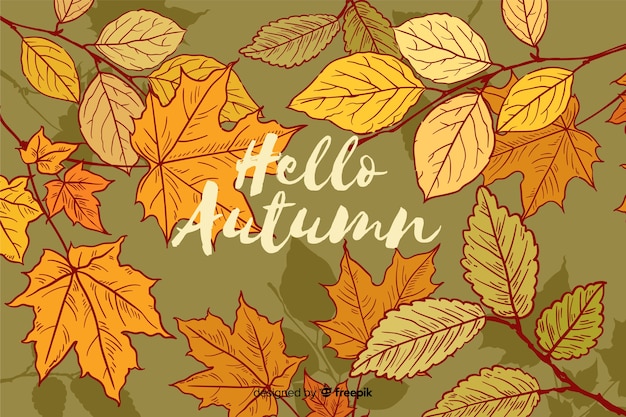 Hand drawn autumn leaves background