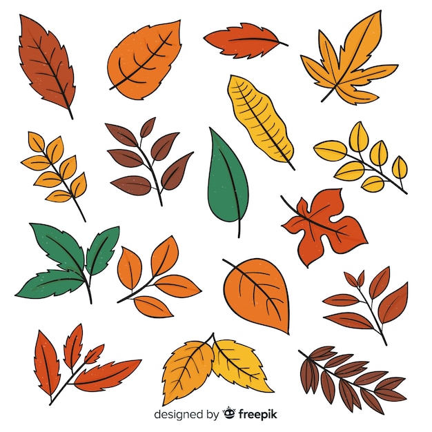 Hand drawn autumn leaves collection