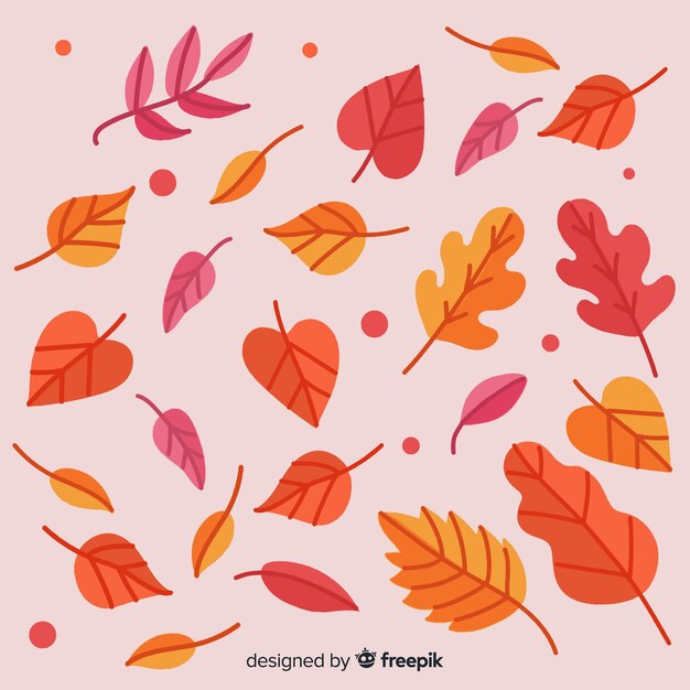 Hand drawn autumn leaves collection