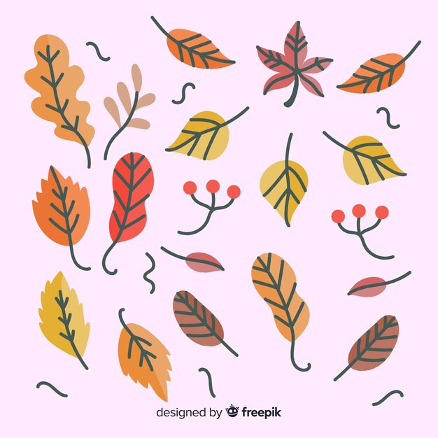 Hand drawn autumn leaves collection