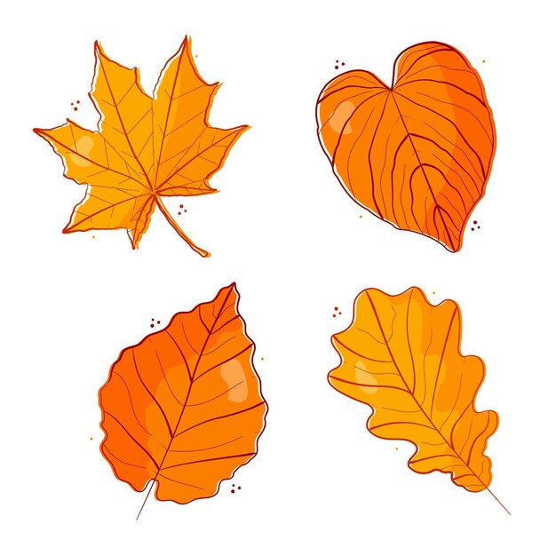 Hand drawn autumn leaves collection