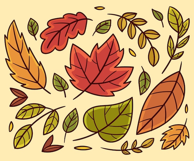 Hand drawn autumn leaves collection